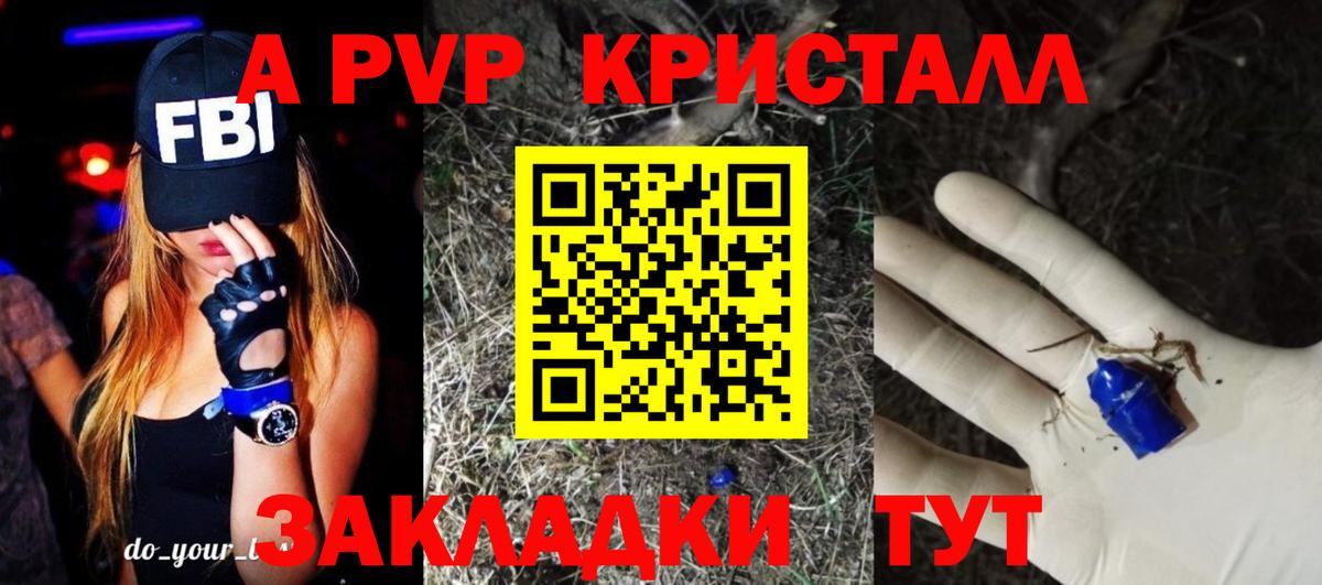 Alfa_PVP СК Рязань