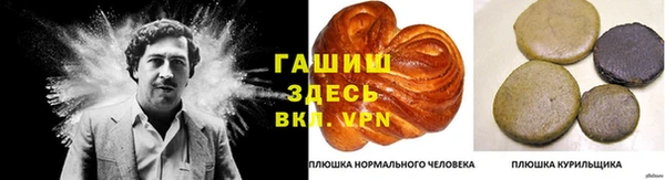 apvp Тында