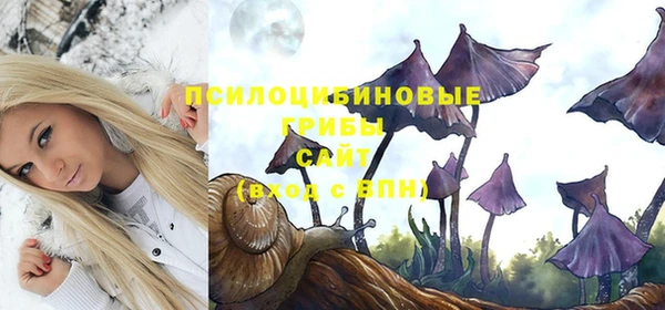 apvp Тында