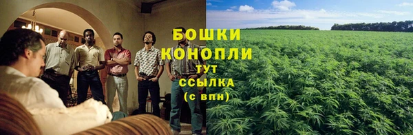 apvp Тында