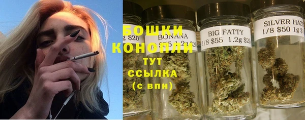 apvp Тында