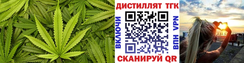 как найти   Рязань  ТГК THC oil 
