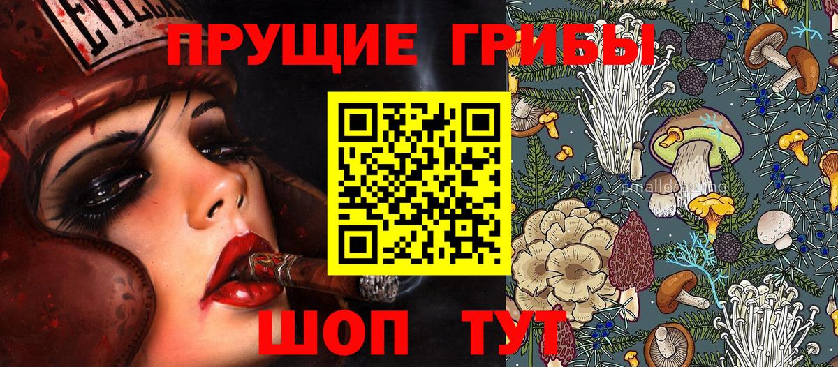 Галлюциногенные грибы GOLDEN TEACHER  Псилоцибиновые грибы GOLDEN TEACHER  Рязань  Вход с VPN 